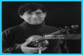 David Shapiro (musician)